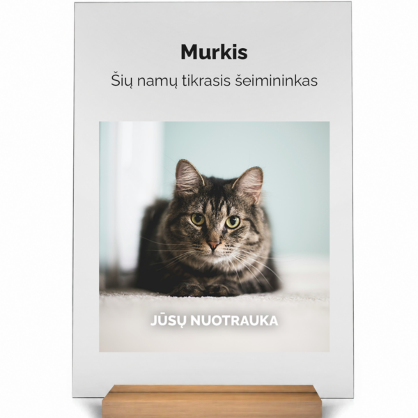 Augintinio portretas